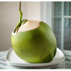 Tender Coconut 1 pc ( Nariyal Pani)