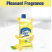 Lizol Disinfectant Surface & Floor Cleaner (Citrus) 500 ml