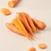 Carrot - Orange 250g