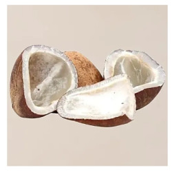 Dry Copra/Coconut, (Medium)