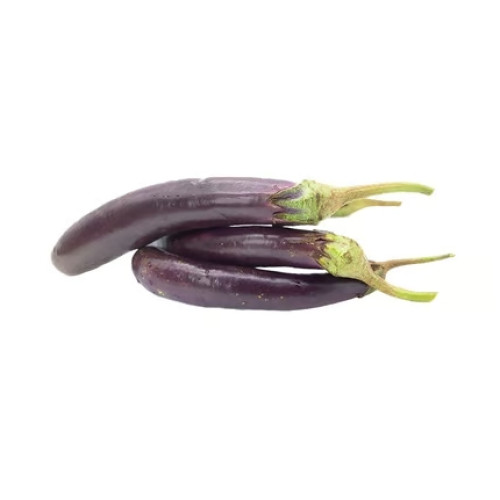 Long Purple Brinjal